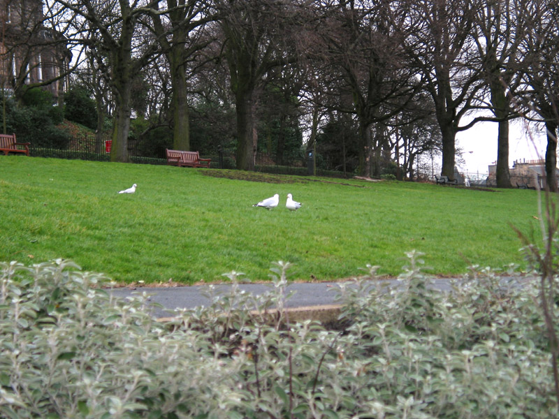 Ein kleiner Stadtpark